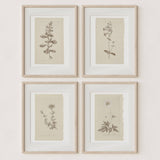 Wall Art Botanical Plant Prints | Vintage Flower Boho Minimalist Floral Artwork Neutral Decor for Bedroom, Living Room, Bathroom, Home or Office